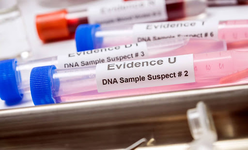 Multiple tubes of DNA evidence are laid out beside each other.