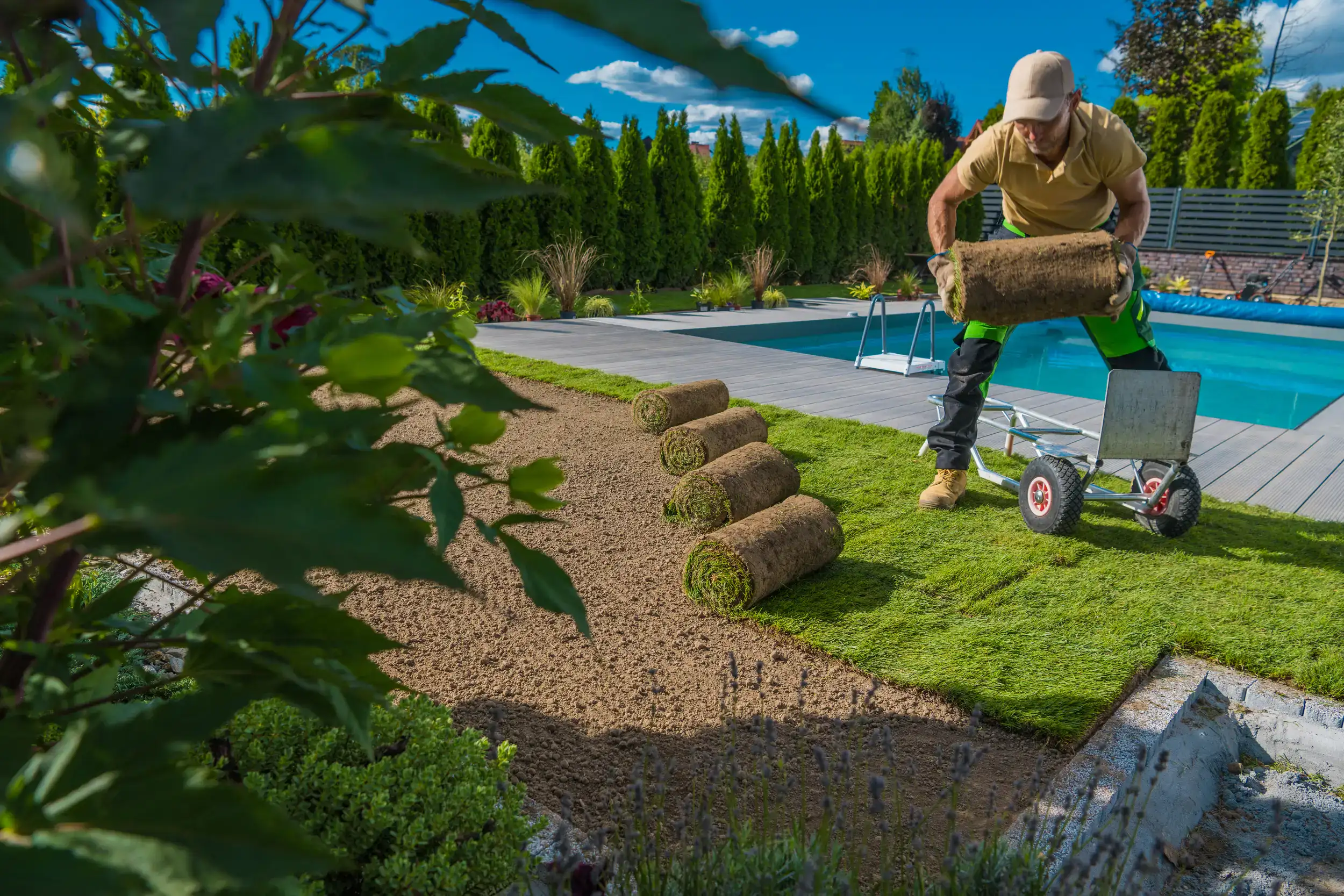 A gardener installing newly lawn grass.