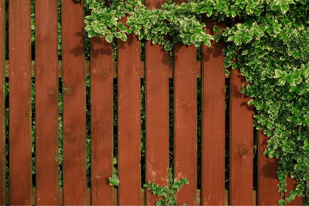 A brown wooden fence surrounded by bushes.