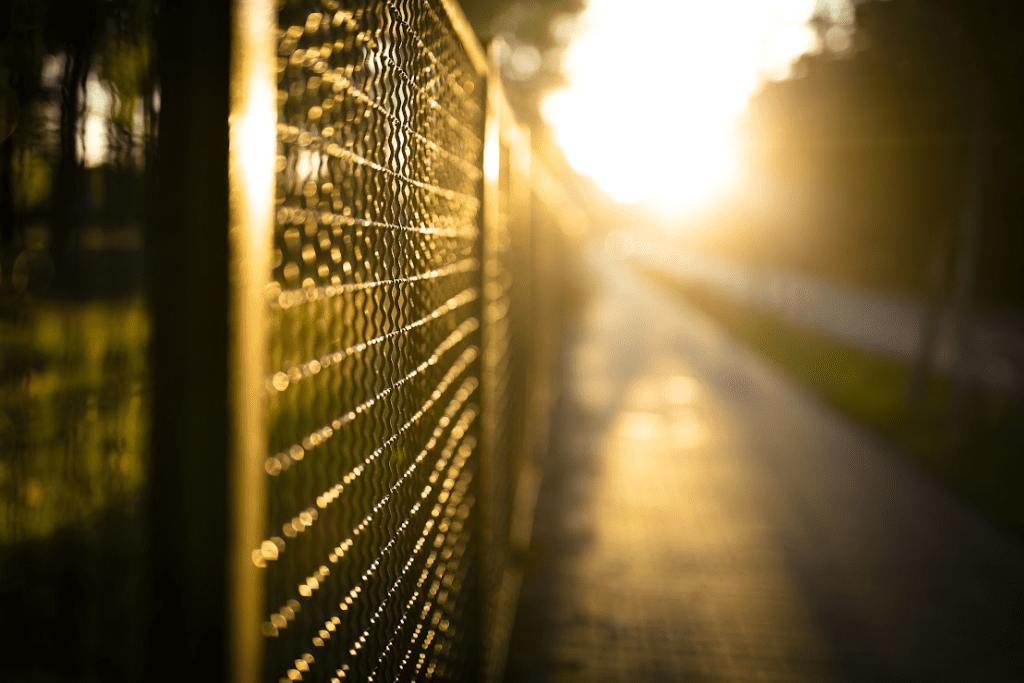 A close up view of a steel fence.