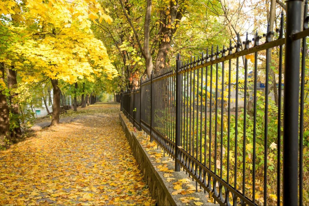 An alley lined with vibrant fall foliage and aluminum fences on the side.