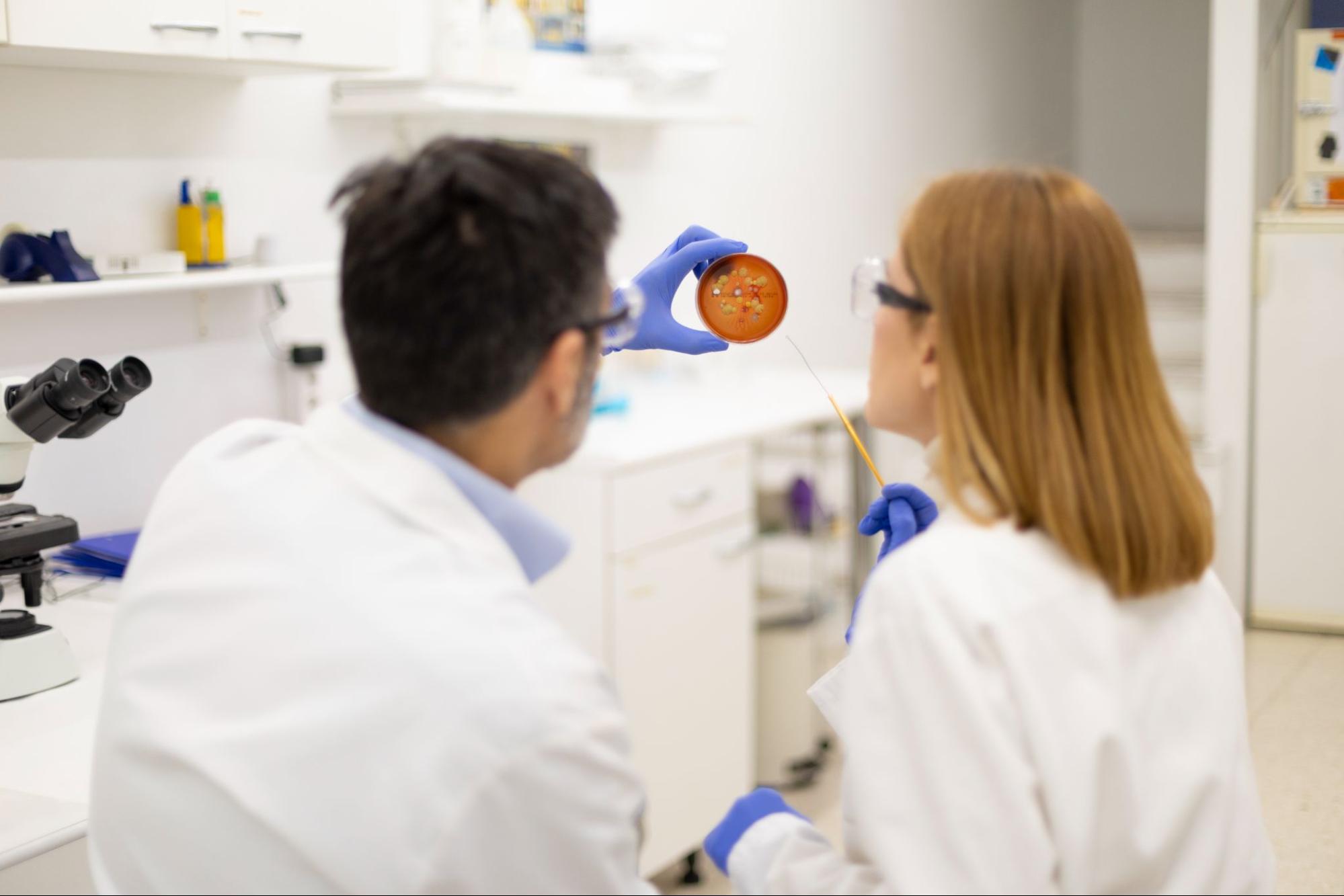 Researchers studying a petri dish for regenerative therapy in a lab setting.